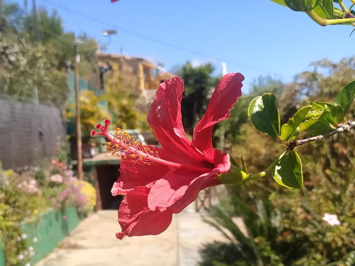 Casa Tata Villa Tijarafe Dış mekan fotoğraf