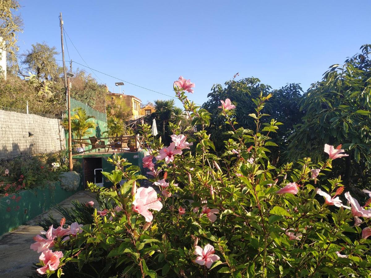 Casa Tata Villa Tijarafe Dış mekan fotoğraf
